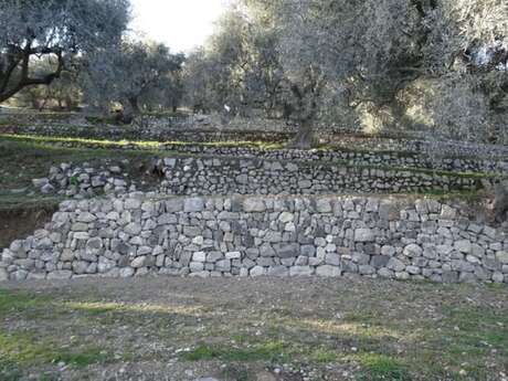 Partizipatives Workcamp Trockensteinmauern