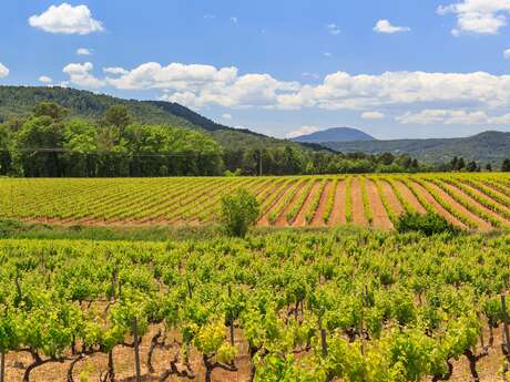 Château de Majoulière