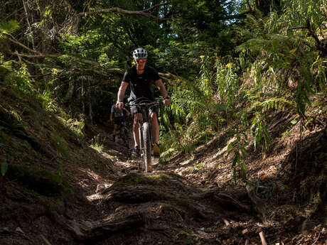 N°25 - Croix du Paradis