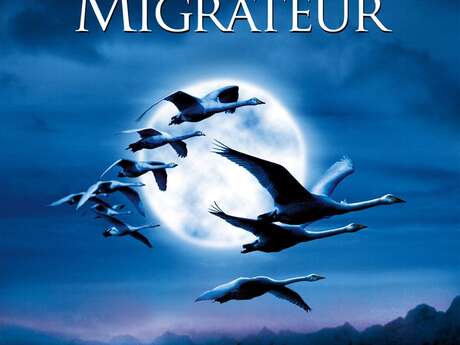 Cinétoiles 2026 - LE PEUPLE MIGRATEUR - La Flachère