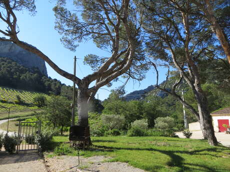 Domaine de Cassan - Studio Fenouillet