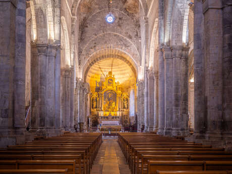 Cathedra Notre-Dame et Saint-Thyrse