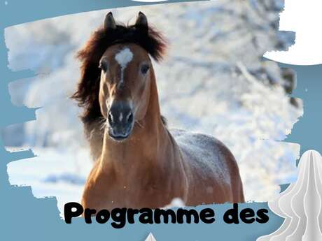 Vacances d'hiver avec Poney and Co