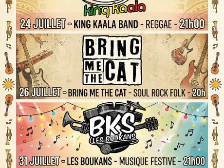 Concerts au cercle saint martin