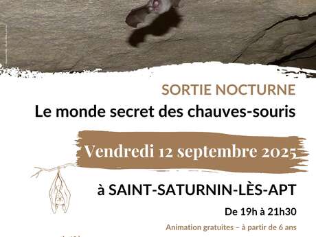 Sortie nocturne " Le monde secret des chauves-souris" Saint-Saturnin-lès Apt