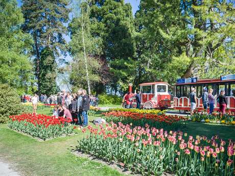 Sortie en car : Fête de la Tulipe à Morges (Suisse)