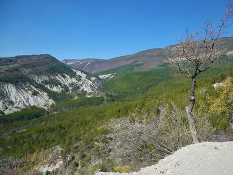 Serre des Ormes (N°18)