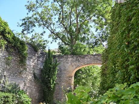 Jardin des Carmes