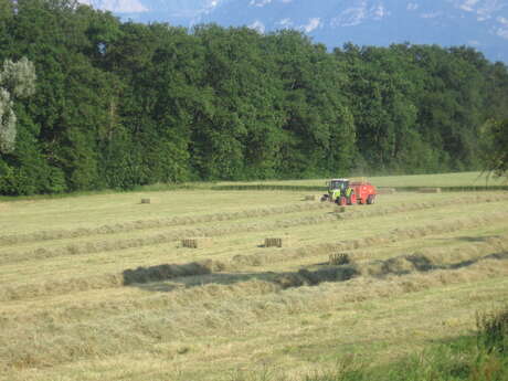 La Ferme de Corly