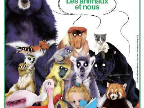 Jeu de piste : à la recherche des petites bêtes d'Antoon Krings