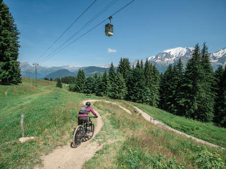 Downhill mountain bike trail – La Wizz
