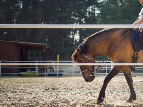 Equitation - personne en situation de handicap