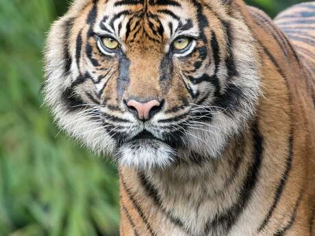 Sortie - Zoo de Plaisance-du-Touch