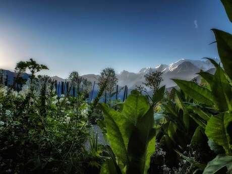 Jardin des Cimes