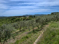 EARL Domaine de l'Olivans