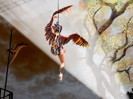 Pièce de cirque "Envol"