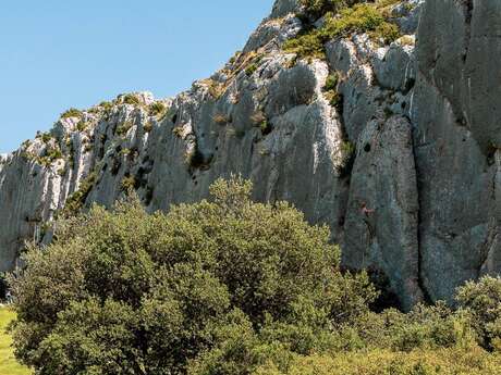 Site d'escalade de Mouriès - Mouriès Nord - Dieu Existe