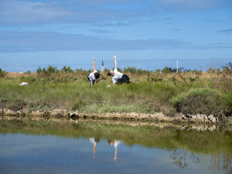Yoga: Mindful Marshes