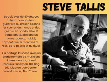 Concert de Steve Tallis, australian blues griot