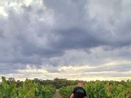 Visite et dégustation de vins IGP Cévennes au Domaine des Maladières