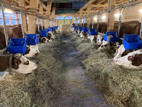 Visite de la ferme de l'Auboury