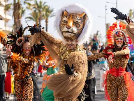 Carnaval & Mimosa