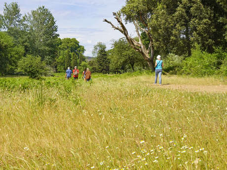 Sentier de la Mole à Cogolin en passant par La Patronne et Le Val d’Astier