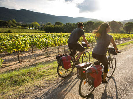Vignes et oliviers à vélo