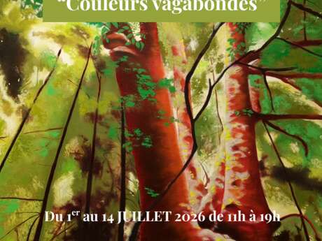 "Couleurs vagabondes" exposition de Valérie Peuch-Spencer - ACCA
