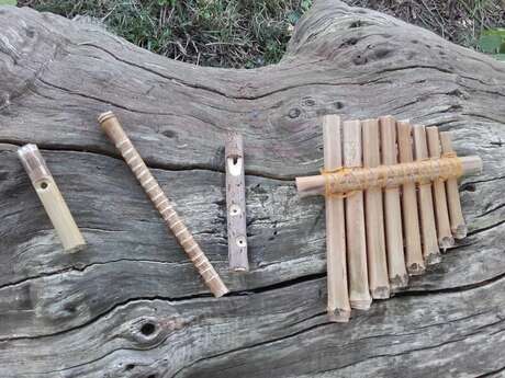 Lutherie verte, confection d'instruments de musique