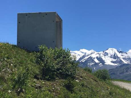 3-D Sculpture Park