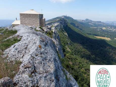 Immersion dans le Parc naturel régional de la Sainte-Baume