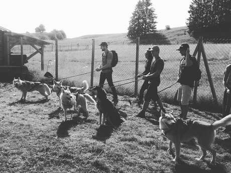 Chalet des Sibériens - Canirando