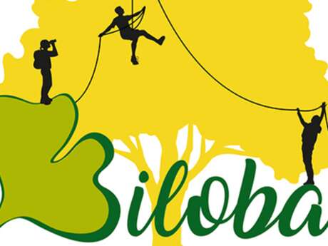 Les Rendez-Vous Nature - La forêt vue d'en haut