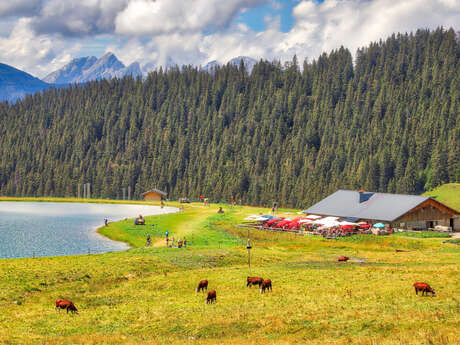Alpage et lac de l'Airon