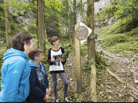 "Les Forestivités" - Sur les traces des arbres de la forêt des grottes de St Christophe
