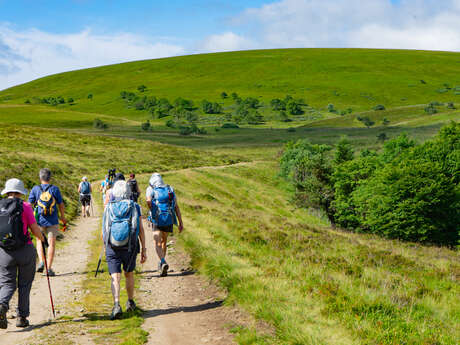 Entre les jasseries de la Loire et du Puy de Dôme - Randonnée commentée