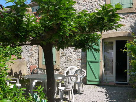 The mulberry tree of the lake