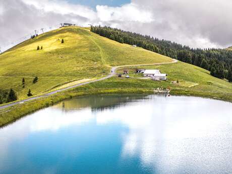 Le Lac de Joux depuis le Mont d'Arbois