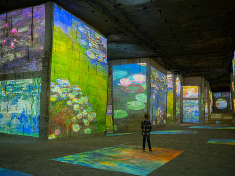 Carrières des Lumières