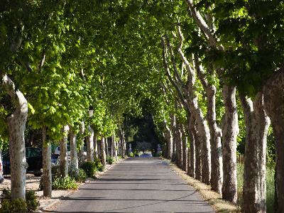 Un tour des Alpilles à partir d'Arles
