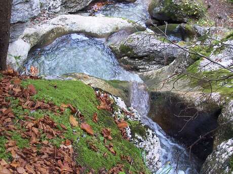 Randonnée pédagogique : Du lac de Vallon aux baignoires des Chartreux