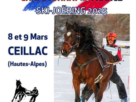 French Ski Joëring Championship