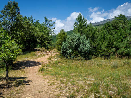 La Boucle de Roquevignon à Grasse