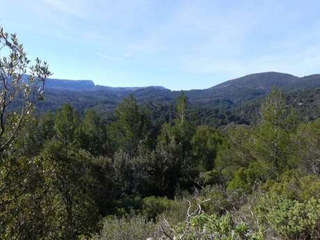 SAINT-ZACHARIE - La forêt du Défens par le pas de Peyruis