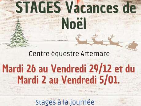 Stages des vacances de Noël au centre équestre d'Artemare