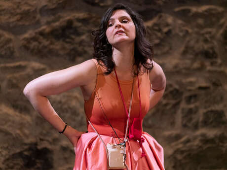 Un volcan silencieux - Diane Muller