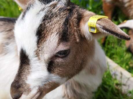 Agricool educational farm tour
