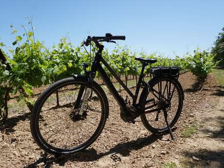 Sun-E-Bike - Magasin de vélo dans le Luberon (Location - Vente - Réparation)
