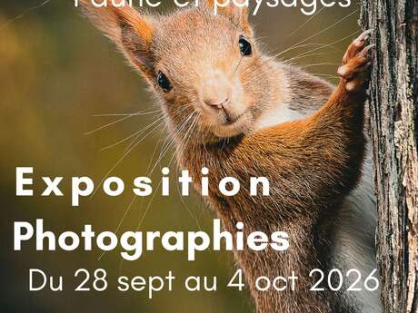 Exposition Faune et Paysages de Serge Gazzano